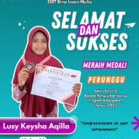 Prestasi Gemilang Oleh Para Siswa SDIT Bina Insan Mulia Pada Babak Penyisihan Venus Tingkat Kabupaten Tahun 2025 558465093 1526704871699150 4080631792592130959 n